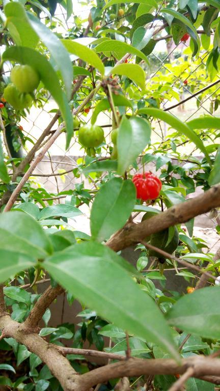 Pousada Top Mairipora Mairiporã